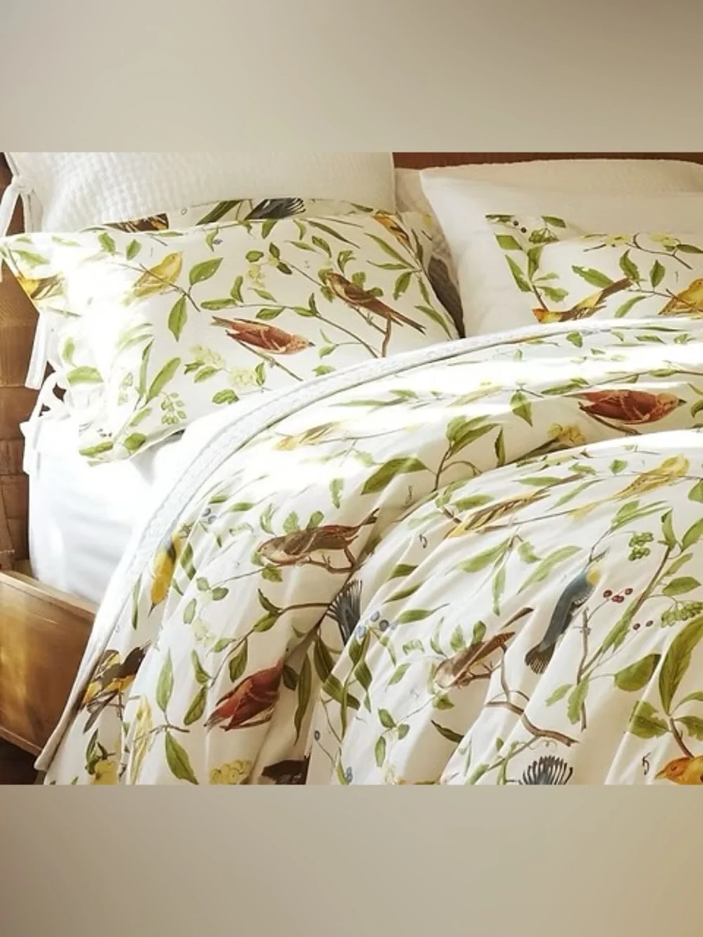 Pottery Barn Sparrow Organic Cotton Queen Duvet Cover + 2 Standard Shams
